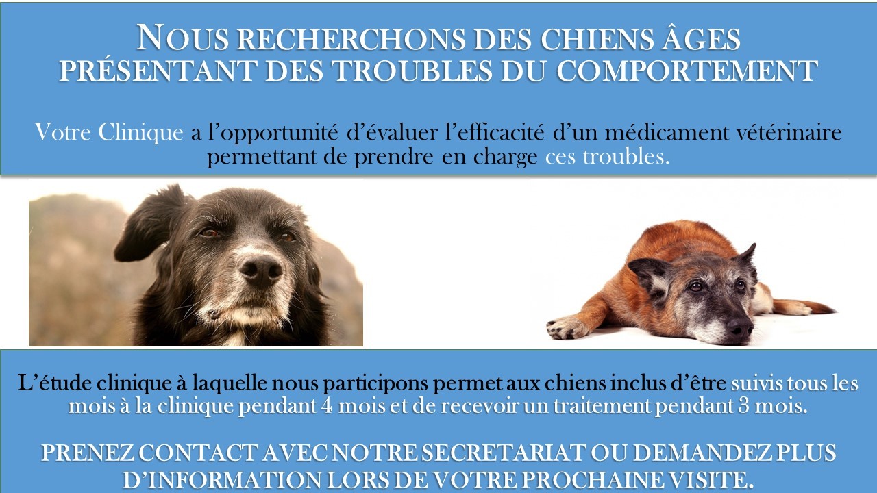 Votre Clinique a l'opportunité d'évaluer l'efficacité d'un médicament vétérinaire permettant de prendre en charge les troubles du comportement.